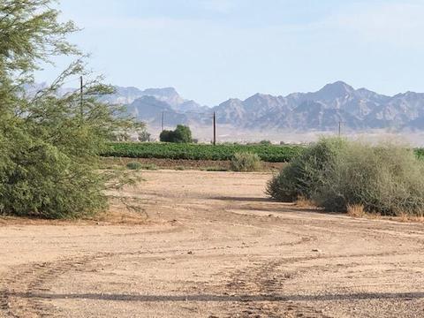 1204 E 11th Ave, Blythe, CA 92225 photo 3