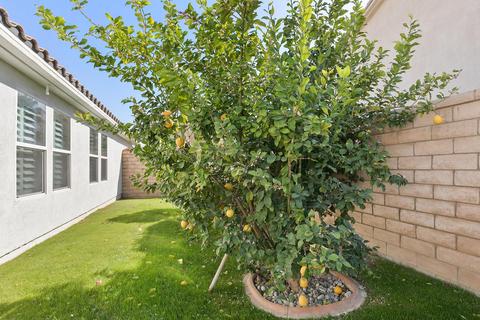 41395 Trumble Ct, Indio, CA 92203 photo 35