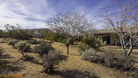 61539 Pueblo Trl, Joshua Tree, CA 92252 photo 40