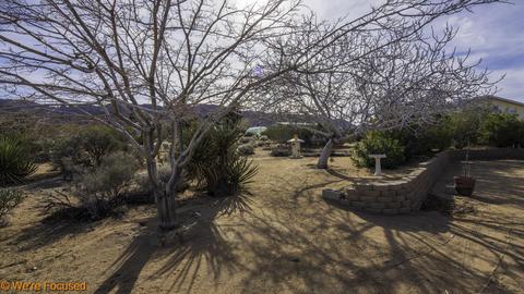 61539 Pueblo Trl, Joshua Tree, CA 92252 photo 39