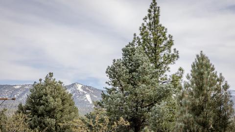 1069 Cedar Mountain Rd, Big Bear City, CA 92314 photo 19