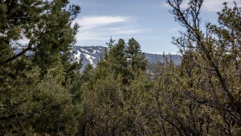 1069 Cedar Mountain Rd, Big Bear City, CA 92314 photo 20