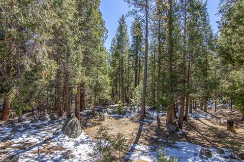 54755 River Rd, Idyllwild, CA 92549 photo 92