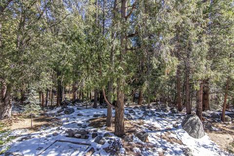 54755 River Rd, Idyllwild, CA 92549 photo 93