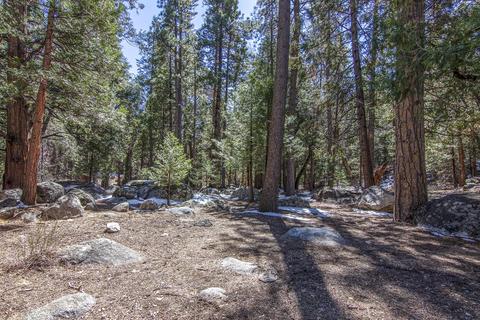 54755 River Rd, Idyllwild, CA 92549 photo 107