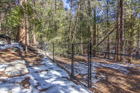 54755 River Rd, Idyllwild, CA 92549 photo 110