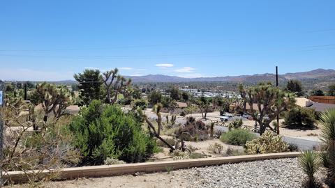 54778 Benecia Trl, Yucca Valley, CA 92284 photo 2