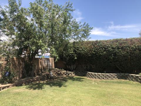 46200 Jasmine Ln, Indio, CA 92201 photo 15