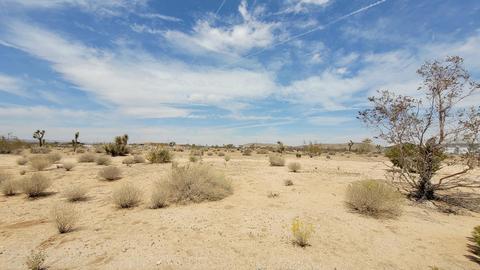 3388 Olympic Rd, Joshua Tree, CA 92252 photo 2