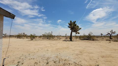 3388 Olympic Rd, Joshua Tree, CA 92252 photo 7