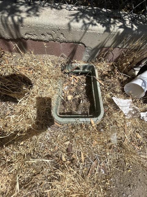 52274 Date Ave, Cabazon, CA 92230 photo 13