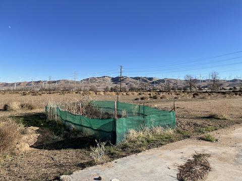 20028 Tehachapi-willow Spring Rd, Tehachapi, CA 93561 photo 19