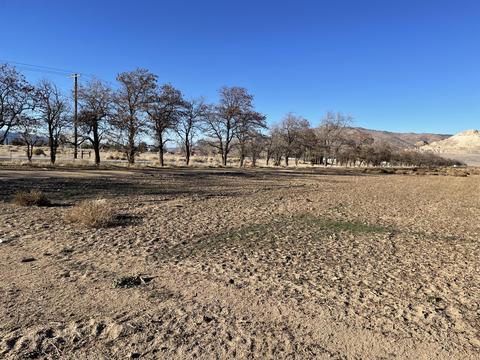 20028 Tehachapi-willow Spring Rd, Tehachapi, CA 93561 photo 2