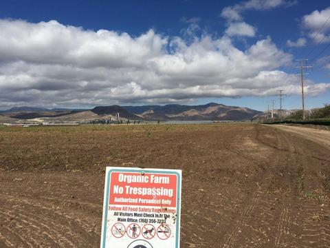 20028 Tehachapi-willow Spring Rd, Tehachapi, CA 93561 photo 12