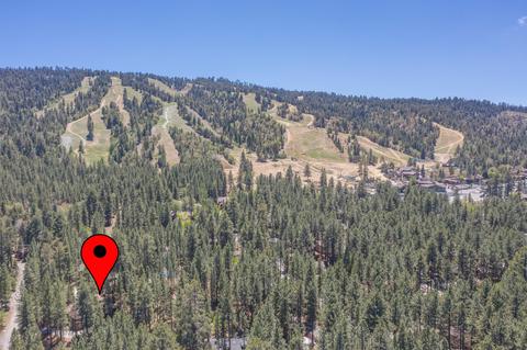 798 N Star Dr, Big Bear Lake, CA 92315 photo 6