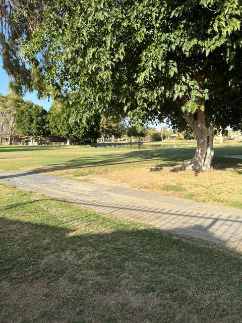 49356 Eisenhower Dr, Indio, CA 92201 photo 33