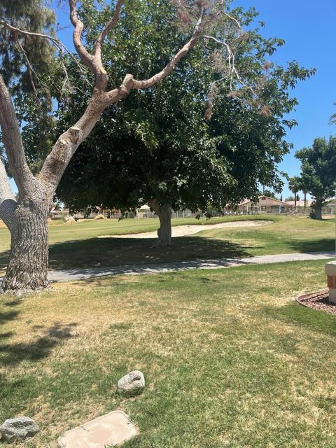 49356 Eisenhower Dr, Indio, CA 92201 photo 6