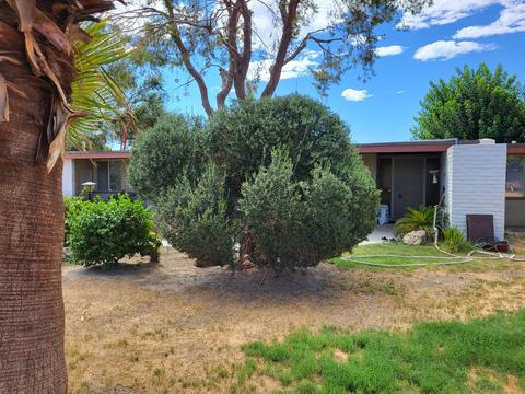 47550 Madison St, Indio, CA 92201 photo 4