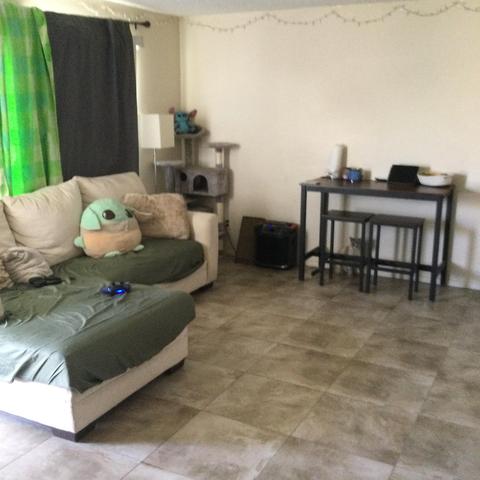 43098 Kenya Dr, Indio, CA 92201 photo 9