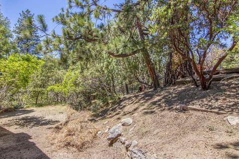 26570 Crestview Dr, Idyllwild, CA 92549 photo 47