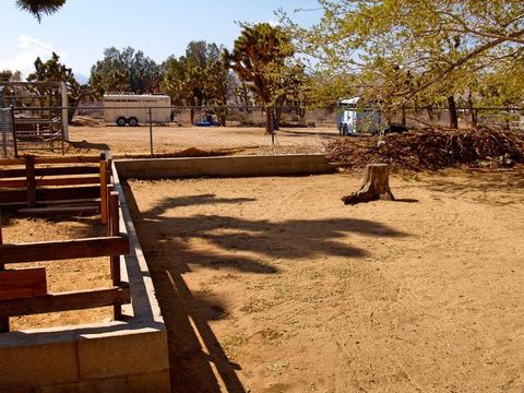 7580 Palm Ave, Yucca Valley, CA 92284 photo 39