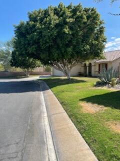 41233 Stimson Ct, Indio, CA 92203 photo 28