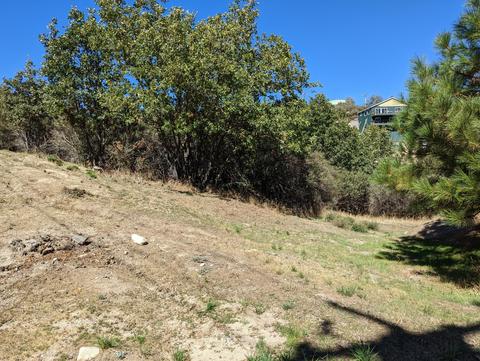 29596 Pineridge Dr, Cedar Glen, CA 92321 photo 5