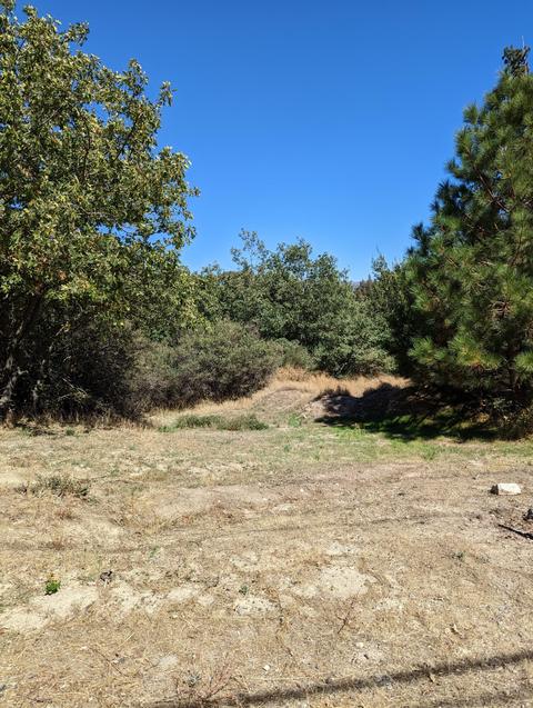 29596 Pineridge Dr, Cedar Glen, CA 92321 photo 8