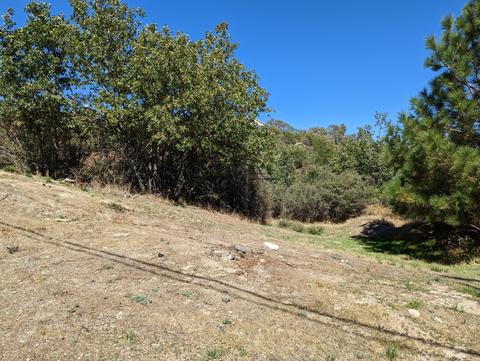 29596 Pineridge Dr, Cedar Glen, CA 92321 photo 1
