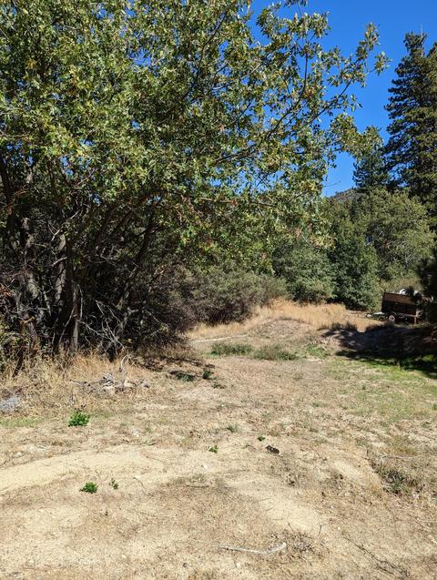 29596 Pineridge Dr, Cedar Glen, CA 92321 photo 7