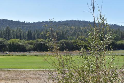 43076 Moonridge Rd, Big Bear Lake, CA 92315 photo 9