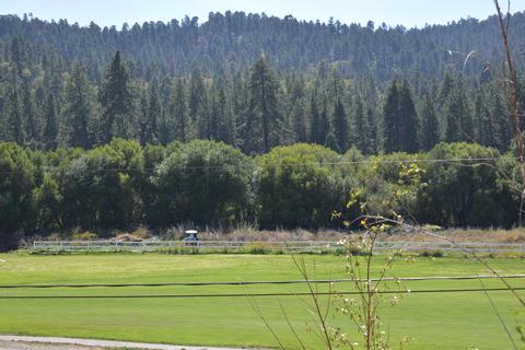 43076 Moonridge Rd, Big Bear Lake, CA 92315 photo 4