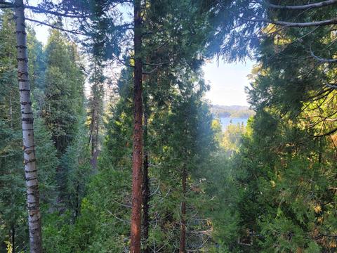 380 Emerald Dr, Lake Arrowhead, CA 92352 photo 40