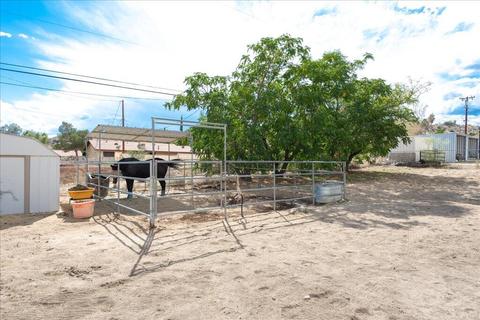 49149 Hibiscus Dr, Morongo Valley, CA 92256 photo 28