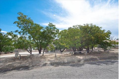 49149 Hibiscus Dr, Morongo Valley, CA 92256 photo 1