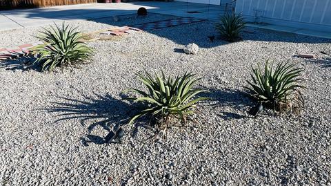 81065 Alberta Ave, Indio, CA 92201 photo 38