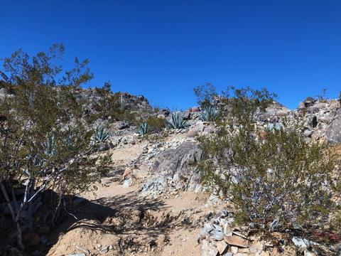 1950 N Cambria, Landers, CA 92285 photo 30