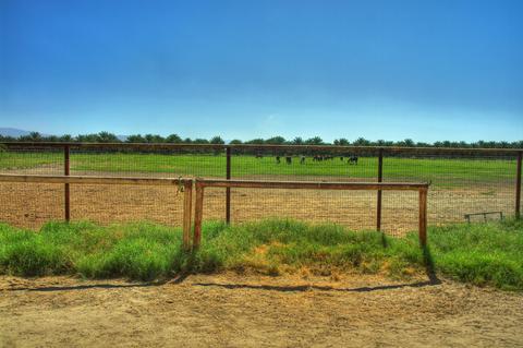 85501 61st Ave, Thermal, CA 92274 photo 24