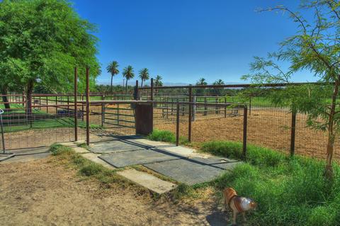 85501 61st Ave, Thermal, CA 92274 photo 25