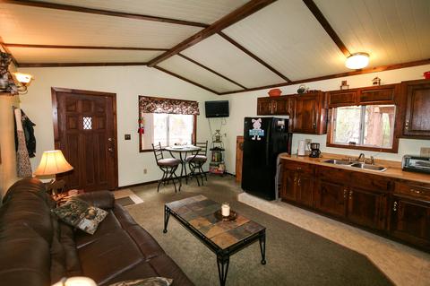 607 Spruce Ln, Sugarloaf, CA 92386 photo 5