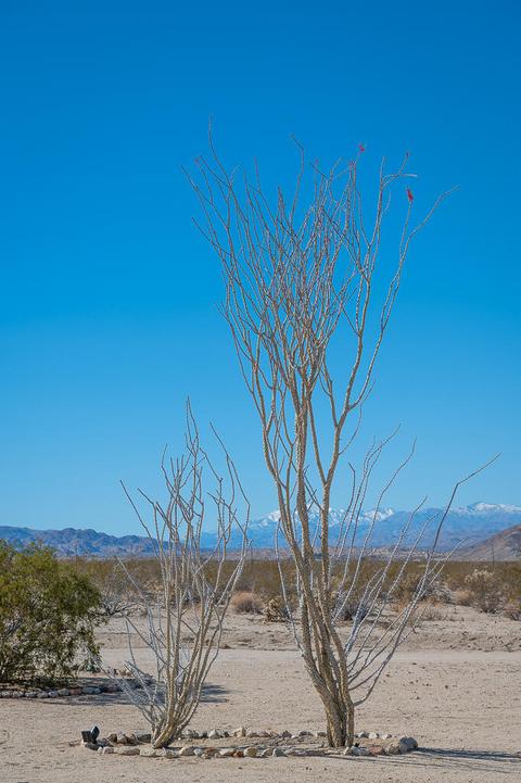 69695 Two Mile Rd, Twentynine Palms, CA 92277 photo 22