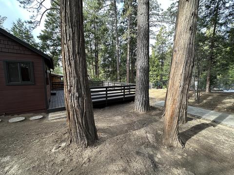 54970 Daryll Rd, Idyllwild, CA 92549 photo 5