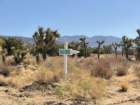 0 200th St E, Llano, CA 93544 photo 3
