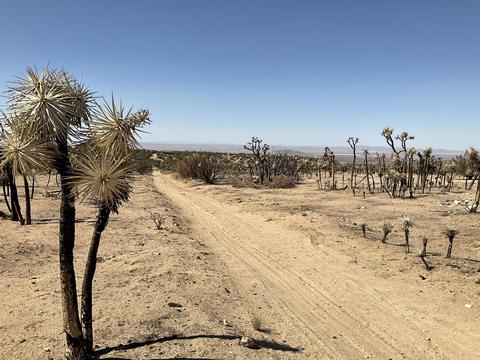 0 200th St E, Llano, CA 93544 photo 1