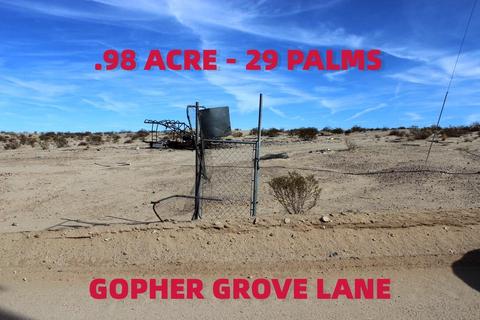 0 Gopher Grove Rd, Twentynine Palms, CA 92277