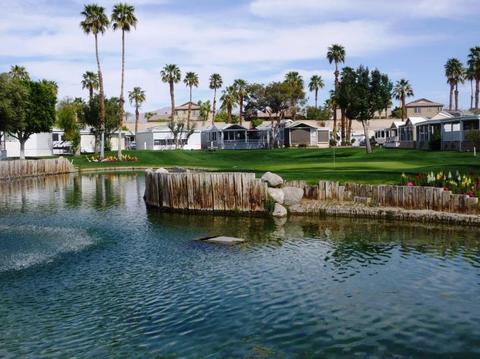 84136 Ave 44 #703, Indio, CA 92203