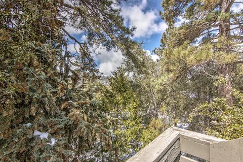 26551 Crestview Dr, Idyllwild, CA 92549 photo 33