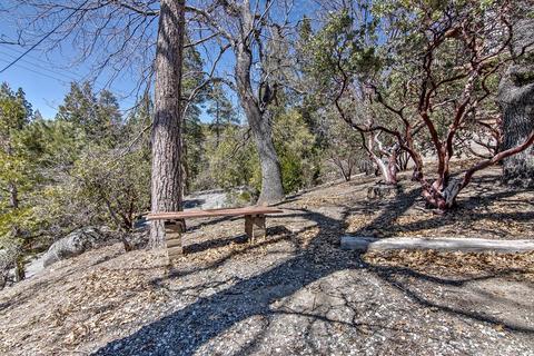 25310 Cree Ln, Idyllwild, CA 92549 photo 65