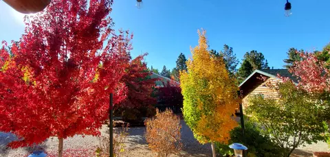 1177 Oak Dr, Big Bear City, CA 92314 photo 58
