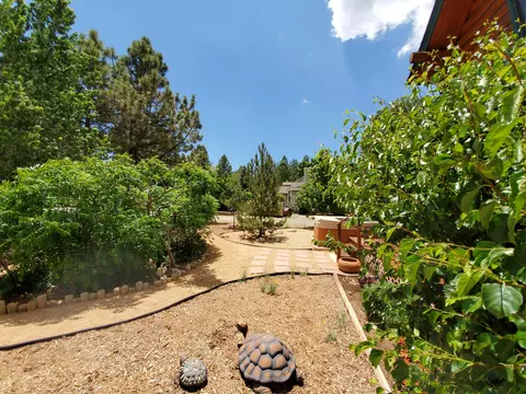 1177 Oak Dr, Big Bear City, CA 92314 photo 52